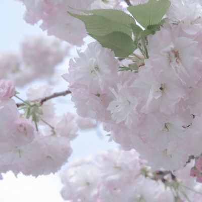 禹城福瑞交流群